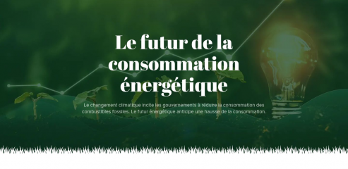 https://www.assoenergiefuture.org