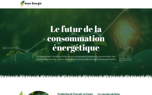 https://www.assoenergiefuture.org