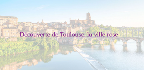 https://www.velo-toulouse.fr