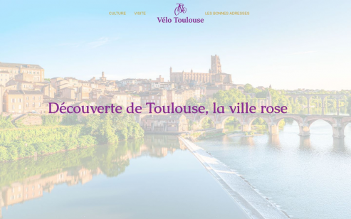 https://www.velo-toulouse.fr